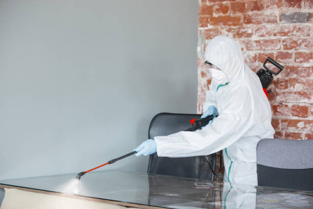 Mold Remediation for Vacation Homes in Lone Tree, CO