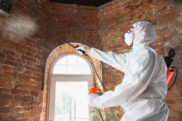 Why You Should Choose Our Mold Remediation Services in Lone Tree, CO